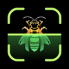 Insect Identifier