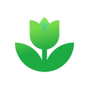 Plant App: Plant Identifier