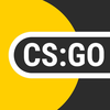 CS:GO Statistic