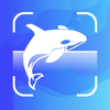 Fish Identifier - Fish Scanner