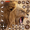 Lion Simulator Animal Game 3D