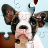 Jigsaw Puzzles: Puzzle Game HD