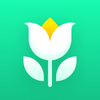 Plant Parent: Plant Care Guide