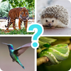 Animals quiz guess mammals zoo