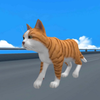 CatRunner2022