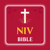 New International Version(NIV)