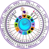 Pregnancy Wheel HD