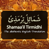 Tirmidhi