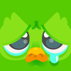 Duolingo - Language Lessons