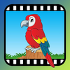 Video Touch: Wild Birds