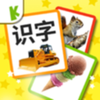 Learn Chinese Baby Flashcards