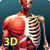 Anatomy & Physiology AR
