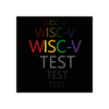 WISC-V Test Practice Pro