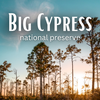 Big Cypress Self-Guided Tour