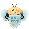 BNEGuard VPN by BNESIM