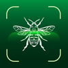Bug Identifier: Insect Id App