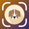 Dog Identifier- Breed detector
