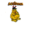 ACOISONA WEB RADIO TV