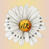Wild Daisy Boutique