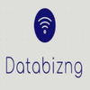 Databizng