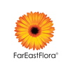 Far East Flora