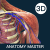 Anatomy Master