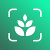 Tree identifier:Plant Care App