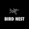 Bird Nest