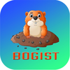 Bogist