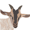 My Goat Manager - Farming app