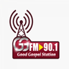 ggfm
