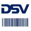DSV Driver
