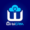 Wi-BiCAM