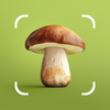 Mushroom ID: Forage Identifier