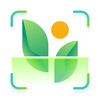 My Plant: Identifier & Care