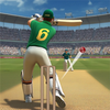 Cricket Match Multiplayer Game