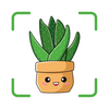 Plant Identification - Care