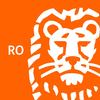 ING Business Pro