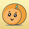 Apricot - Tech Services to You