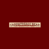 Carpathian Bear