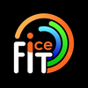 ICE fit