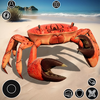 King Crab: Beach Survival