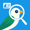 Bird Identifier: Picture sound