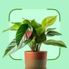 Plant ID & Care: Planthy AI