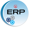 ERP Service