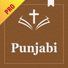 Punjabi Bible Study Pro