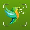 Bird Identifier - Picture Snap