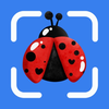 Insect Identifier, Bug Finder