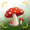 Mushroom Identifier ID Picture