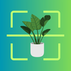 Plant Identifier: AI Scanner